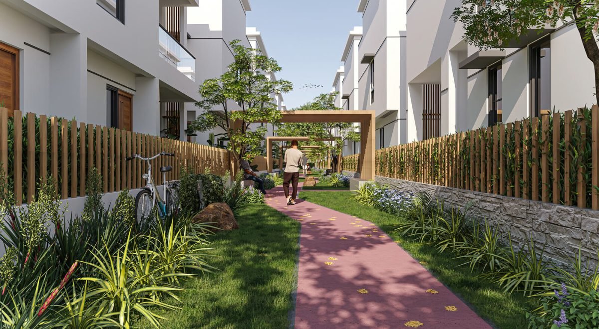 Backyard Day View - NEW