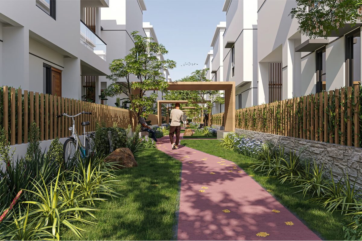 Backyard Day View - NEW